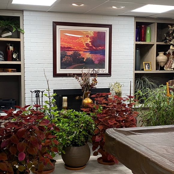 Please feel free to say hello❤️👍😊🌹🌹🌹🌹 - Picture 15 of 16